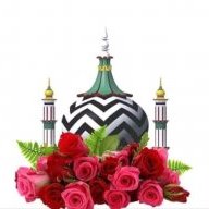 محمد معین الدین رضوی