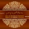 Raheel Ansari