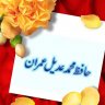 Muhammad Adeel Imran