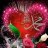 محمدعثمان غنی
